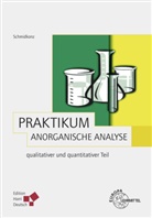 Bertram Schmidkonz - Praktikum Anorganische Analyse