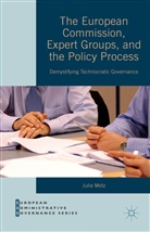 Julia Metz - European Commission, Expert Groups and the Policy Process