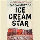 Sandra Newman, Lisa Rene Pitts, Lisa Renee Pitts - The Country of Ice Cream Star (Hörbuch)