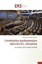 Mbouni-c, Charly Cédric Ndzana Mbouni - L institution parlementaire dans