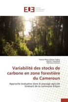 Dame, Hermine Dameni, Francis Bric Silatsa Tedou, Francis Brice Silatsa Tedou, Marti Yemefack, Martin Yemefack - Variabilite des stocks de carbone