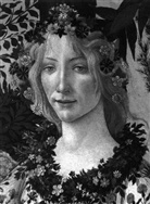 Sandro Botticeli, Alessandro Cecchi, Cecchi Alessandro, Lionell Venturi, Lionello Venturi, Venturi Lionello - Botticelli