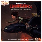 Dragons - Die Wächter von Berk - Feuerwetter, Audio-CD (Audio book)