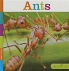 Laura K Murray, Laura K. Murray - Ants