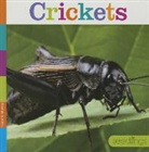 Laura K Murray, Laura K. Murray - Crickets
