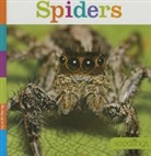 Laura K Murray, Laura K. Murray - Spiders