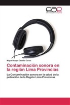 Miguel Angel Castillo Corzo - Contaminación sonora en la región Lima Provincias