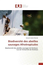 Armand Lokolo Okende, Okende-a - Biodiversite des abeilles