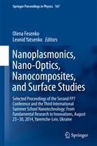 Olen Fesenko, Olena Fesenko, Yatsenko, Yatsenko, Leonid Yatsenko - Nanoplasmonics, Nano-Optics, Nanocomposites, and Surface Studies