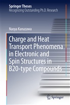 Naoya Kanazawa - Charge and Heat Transport Phenomena in Electronic and Spin Structures in B20-type Compounds