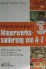 Oybek Bakhramov, Raimond Dallmann, Axel Dettmann, Dietmann Hettmann, Georg Hilbert, Andreas Holm... - Praxishandbuch Mauerwerkssanierung von A-Z, m. CD-ROM