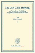 Julius Pierstorff - Die Carl-Zeiß-Stiftung,