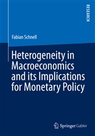 Fabian Schnell - Heterogeneity in Macroeconomics and its Implications for Monetary Policy