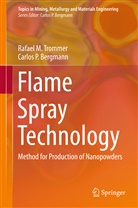 Carlos P Bergmann, Carlos P. Bergmann, Rafael Trommer, Rafael M Trommer, Rafael M. Trommer - Flame Spray Technology