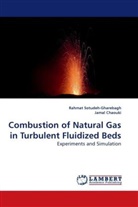Jamal Chaouki, Rahma Sotudeh-Gharebagh, Rahmat Sotudeh-Gharebagh - Combustion of Natural Gas in Turbulent Fluidized Beds