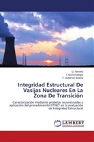 Ferreño, D Ferreño, D. Ferreño, Gorrochategui, I Gorrochategui, I. Gorrochategui... - Integridad Estructural De Vasijas Nucleares En La Zona De Transición
