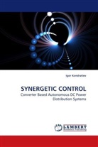 Igor Kondratiev - SYNERGETIC CONTROL