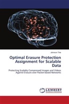 Johnson Thie - Optimal Erasure Protection Assignment for Scalable Data