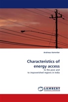 Andreas Kemmler - Characteristics of energy access