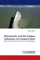 Fergal O'Brien, Fergal O''Brien - Microcracks and the fatigue behaviour of compact bone