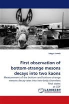 Diego Tonelli - First observation of bottom-strange mesons decays into two kaons