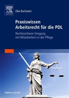 Elke Bachstein, Heike Hübner - Praxiswissen Arbeitsrecht für die PDL
