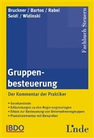 Pete Bartos, Peter Bartos, Karl Bruckner, Klaus Rabel, Klaus u a Rabel - Gruppenbesteuerung (f. Österreich), Kommentar