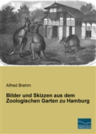 Alfred Brehm - Bilder und Skizzen aus dem Zoologischen Garten zu Hamburg