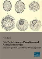 F Doflein, F. Doflein - Die Protozoen als Parasiten und Krankheitserreger