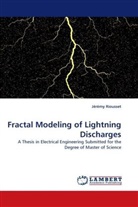 Jérémy Riousset - Fractal Modeling of Lightning Discharges
