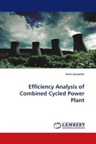 bora iyiuyarlar - Efficiency Analysis of Combined Cycled Power Plant
