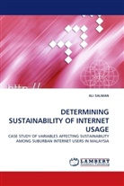 Ali Salman - DETERMINING SUSTAINABILITY OF INTERNET USAGE
