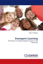 John P Sullivan, John P. Sullivan - Emergent Learning