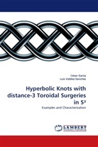 Césa Garza, César Garza, Luis Valdez-Sanchez - Hyperbolic Knots with distance-3 Toroidal Surgeries in S³