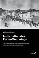 Wilhelm Baum - Im Schatten des Ersten Weltkriegs