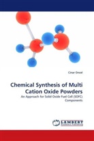 Cinar Oncel - Chemical Synthesis of Multi Cation Oxide Powders