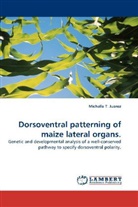 Michelle T Juarez, Michelle T. Juarez - Dorsoventral patterning of maize lateral organs.