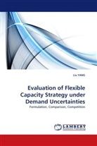 Liu YANG - Evaluation of Flexible Capacity Strategy under Demand Uncertainties