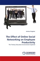 Andrea Potgieter - The Effect of Online Social Networking on Employee Productivity