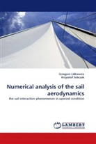 Grzegorz Li kiewicz, Grzegorz Li¿kiewicz, Grzegor Liskiewicz, Grzegorz Liskiewicz, Krzysztof Sobczak - Numerical analysis of the sail aerodynamics