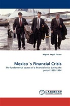Miguel Angel Picazo - Mexico's Financial Crisis