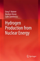 Ibrahi Dincer, Ibrahim Dincer, Greg Naterer, Greg F Naterer, Calin Zamfirescu - Hydrogen Production from Nuclear Energy