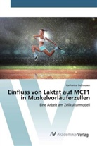 Katharina Gelhausen - Einfluss von Laktat auf MCT1 in Muskelvorläuferzellen