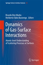 Heriberto Fabio Busnengo, Ricard Diez Muino, Ricardo Diez Muino, Fabio Busnengo, Fabio Busnengo - Dynamics of Gas-Surface Interactions