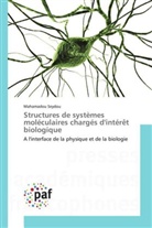 Mahamadou Seydou, Seydou-m - Structures de systemes