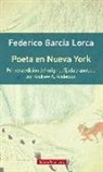 Federico García Lorca - Poeta en Nueva York