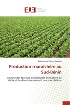 Babatounde Roland Assogba, Assogba-b - Production maraichere au sud-benin