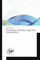 Adrien Wattez, Wattez-a - Simulation de fluides, approche