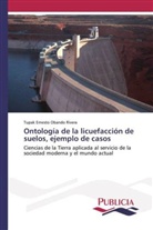 Tupak Ernesto Obando Rivera - Ontología de la licuefacción de suelos, ejemplo de casos