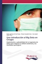 Álvar Campillo Soto, Álvaro Campillo Soto, Pabl del Pozo Gil de Pareja, Pablo del Pozo Gil de Pareja, Ana Isabel López Oliva, Pablo del Pozo Gil de Pareja - Una introducción al Big Data en Cirugía